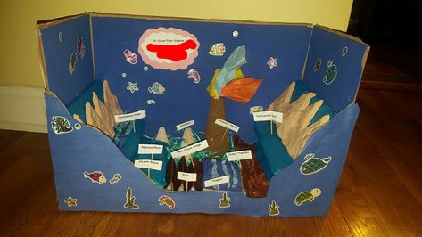 3D Ocean Floor Diagram (5th grade) #Oceanfloor #3D #science #5thgrade #diagram Ocean Floor Project, Ocean Diagram, Animal Cell Project, Science Project Models, Ocean Art Projects, Cells Project, Ocean Projects, Creative School Project Ideas, Ocean Floor