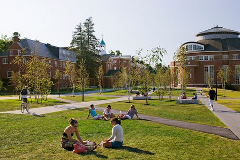 Bates College Alumni Walk – Sasaki Campus Landscape Design, Surface Drainage, Bates College, Campus Landscape, El Gouna, College Architecture, Pedestrian Walkway, Tourism Development, Corner Design