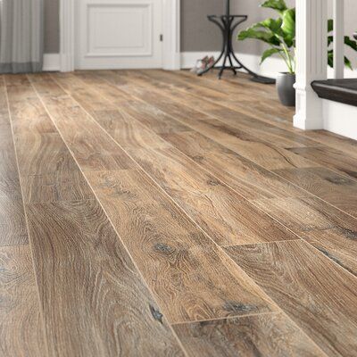 Legacy™, a glazed porcelain series available in five colors, with a rustic look and a trending plank format. Color: Havana | Emser Tile Legacy 8" x 47" Porcelain Wood Look Wall & Floor Tile in Brown, Size 47.0 H x 8.0 W x 0.3543 D in | Wayfair Wood Look Tile Floor, Porcelain Wood Tile, Flooring Installation, Emser Tile, Wood Tile Floors, Wood Look Tile, Wood Ideas, Tile Flooring, Floor Colors