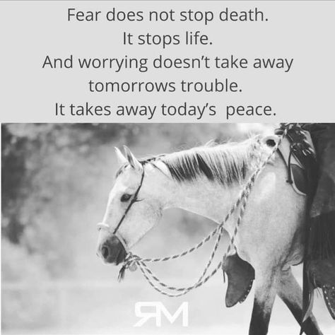 Horsemanship Quotes, Equine Quotes, Memes Facebook, Inspirational Horse Quotes, Western Quotes, Horse Riding Quotes, Animal Tattoo Ideas, Cowboy Quotes, Cowgirl Quotes