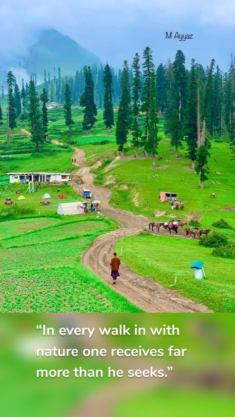 Kaghan Valley, Swat Valley, Golf Courses, Natural Beauty, Quick Saves, Beauty, Nature