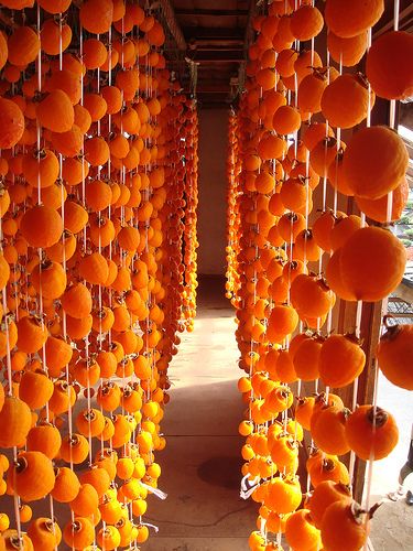 curtain | Flickr - Photo Sharing! Drying Persimmons, Dried Persimmons, All About Japan, Nagano Japan, Autumn Party, Japanese Lanterns, Orange You Glad, Beautiful Travel, Orange Crush