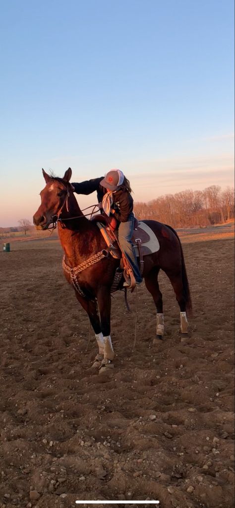 Equestrian Aesthetic Western, Reining Horses Photography, Western Riding Aesthetic, Western Horse Riding Aesthetic, Person On Horse, Horse Show Aesthetic, Country Horse Riding, Barrel Racing Aesthetic, Riding Pictures