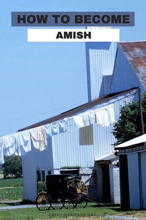 Amish barn, buggy, and laundry on the line Amish Aesthetic, Amish Hacks, Pioneer Lifestyle, Amish Proverbs, Breaking Amish, Amish Store, Amish Clothing, Amish Dolls, Amish Living