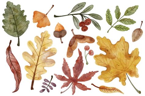 Autumn Leaves Watercolor, 숲 사진, Watercolor Vector, Leaves Watercolor, Halloween Traditions, Watercolor Clip Art, Fall Watercolor, Autumn Painting, Cute Patterns Wallpaper