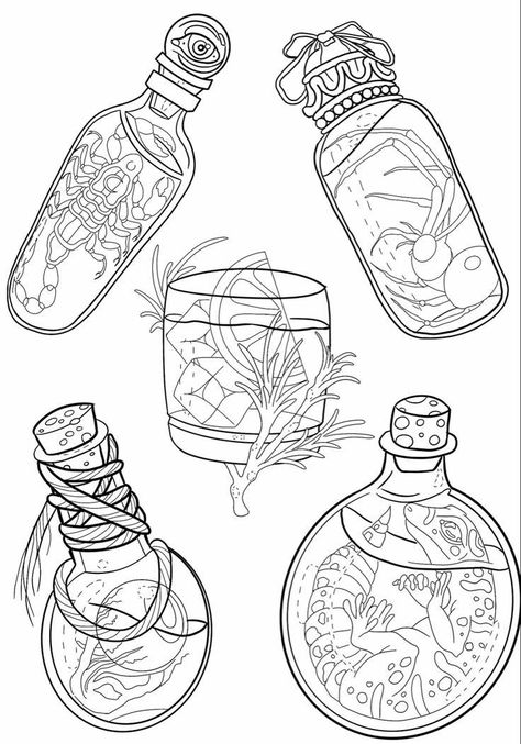 Witchy Sketches, Brazilian Tattoo, Occult Tattoo, Bottle Drawing, Insect Tattoo, Bottle Tattoo, Flash Tattoo Designs, Spider Tattoo, Doodle Tattoo