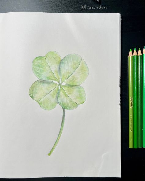 FLOWER - Clover It is not a flower, but it’s also a wildflower 😅. I drew a clover instead of others since I was hoping for good news to come this past May 👼🏻. Besides I think this painting will bring luck to all of us in June 💚🍀 #suepaintings #drawing #handmade #drawingskills #artsupporters #flowerdrawing #illustration #artcollector #igartist #sketchday #artist #colorpencil #drawingsketch #art #instadaily #artlover #artwork #artgallery #artbeginner #easyart #sefttaughtartist #clover #four... Clover Drawing, Lucky Leaf, Black And White Style, Drawing Skills, Simple Art, Four Leaf Clover, All Of Us, Art Collector, Flower Drawing