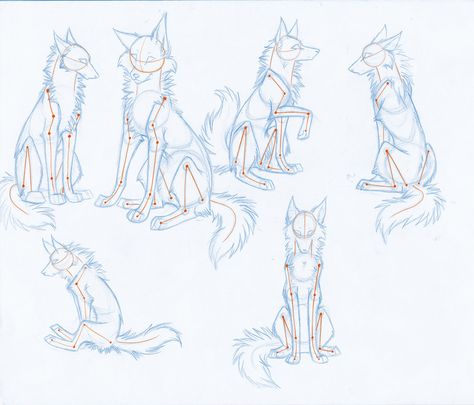 How to drw Wolves Part 3-body by Kimai on DeviantArt Wolf Skeleton Drawing, Wolf Study, Canine Reference, Wolf Sitting, Wolf Poses, Wolf Sketch, Canine Drawing, Pet Drawing, Some Drawings