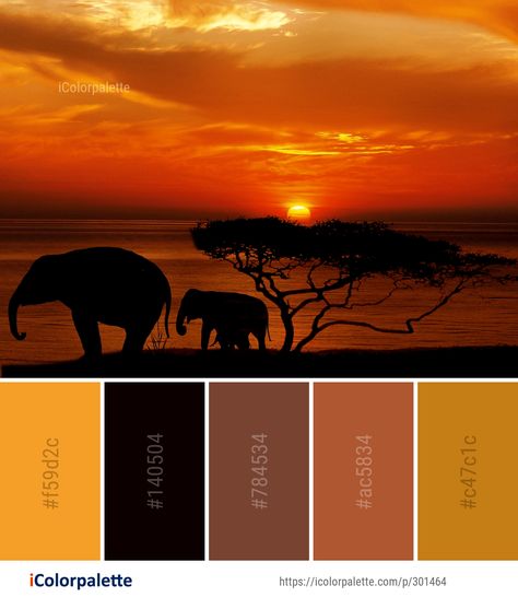 Color Palette ideas from 1478 Sunrise Images | iColorpalette African Sunset Colour Palette, Leo Colour Palette, African Colour Palette Color Inspiration, Colors Of Africa, African Wedding Color Schemes, Africa Colour Palette, African Color Palette Colour Schemes, Sunrise Color Palette Wedding, Safari Colour Palette