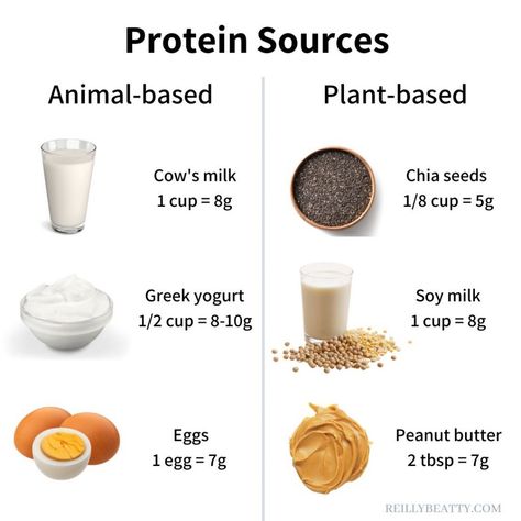 How to Make Protein Overnight Oats without Protein Powder - Reilly Beatty Sports Nutrition How To Eat Protein Powder, Protein Recipes Without Powder, Overnight Oats Without Protein Powder, Yummy Overnight Oats, Homemade Protein Powder, Natural Protein Powder, Protein Rich Breakfast, Protein Overnight Oats, Collagen Protein Powder