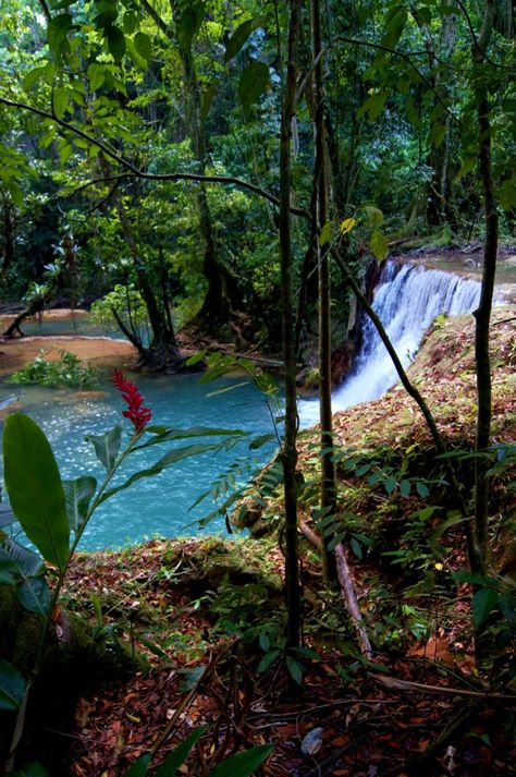 YS Falls, Cornwall, Saint Elizabeth, Jamaica-Black River Jamaica Photos, Saint Elizabeth, Jamaican Culture, Forest Aesthetic, Jamaica Travel, Beautiful Waterfalls, Garden Bridge, Cornwall, Life Is Beautiful