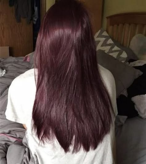 Purple Red Brown Hair, Good Hair Colors For Pale Skin, Dark Wine Red Hair, Dark Cherry Brown Hair, Asian Red Hair, Cola Hair, Cherry Cola Hair, Cherry Hair Colors, Red Balayage