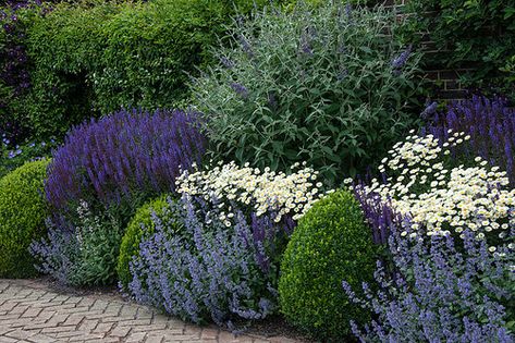 Herbaceous Border, Cottage Garden Design, Front Landscaping, Garden Area, Shade Perennials, Garden Shrubs, Have Inspiration, Front Yard Garden, Garden Borders