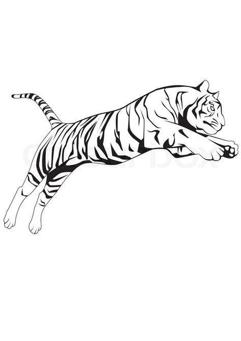 Jumping Tiger Coloring Page for kids. Free Printable Coloring Pages of Tiger download and print For Kids. Tiger Jumping Drawing, Tiger In Water Drawing, Jumping Tiger Drawing, Jump Pose, Sketch Tiger, Jump Art, Jumping Tiger, Tiger In Water, Jump Animation