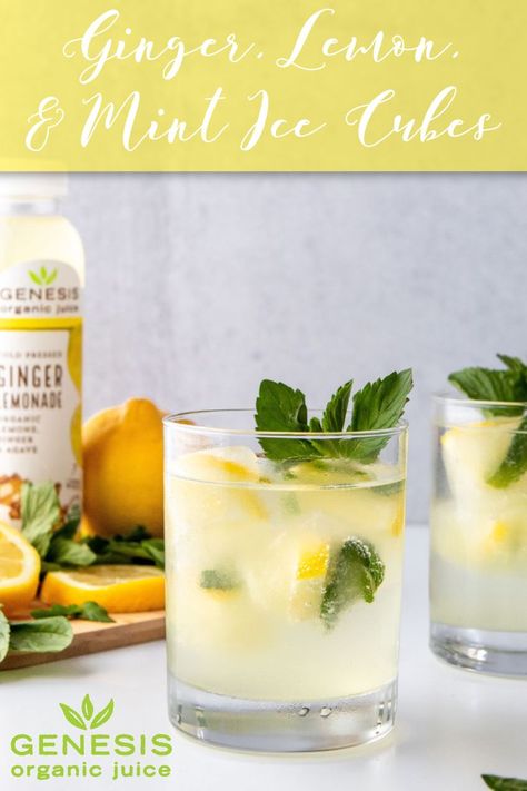 Cool down with a refreshing mix of Genesis Organic Ginger Lemonade, Seltzer, and infused ice cubes that will make sure you stay cool. Try our recipe! Ginger Ice Cubes, Mint Ice Cubes, Infused Ice Cubes, Freezing Herbs, Ginger Lemonade, Organic Juice, Lemon Mint, Cocktail Making, Ice Cubes