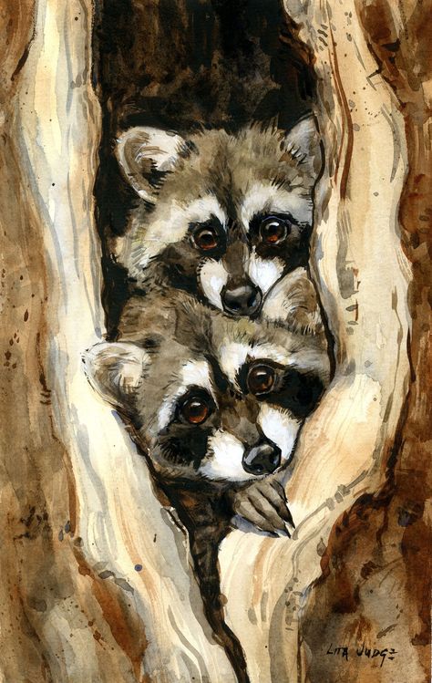 Raccoons - Lita Judge Mebel Antik, Desen Realist, Watercolor Paintings For Beginners, Watercolor Paintings Easy, Seni Cat Air, Lukisan Cat Air, Beginner Painting, Arte Animal, Watercolor Animals