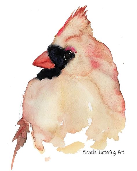 Watercolor Cardinal, Bird Sketches, Cardinal Birds Art, Watercolor Painting Easy, Cardinal Watercolor, Cardinal Art, Cardinal Decor, Bird Portrait, Cardinal Painting