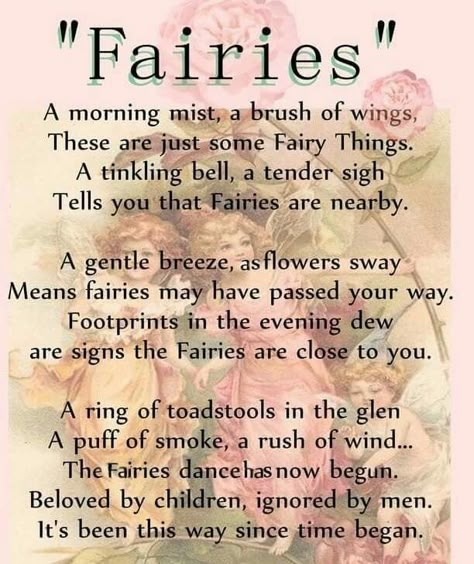 Fairies Facts, Autumn Bedroom, Fairy Quotes, Fairy Garden Designs, Legends And Myths, Fairy Artwork, Fairy Friends, Love Fairy, Fairy Magic