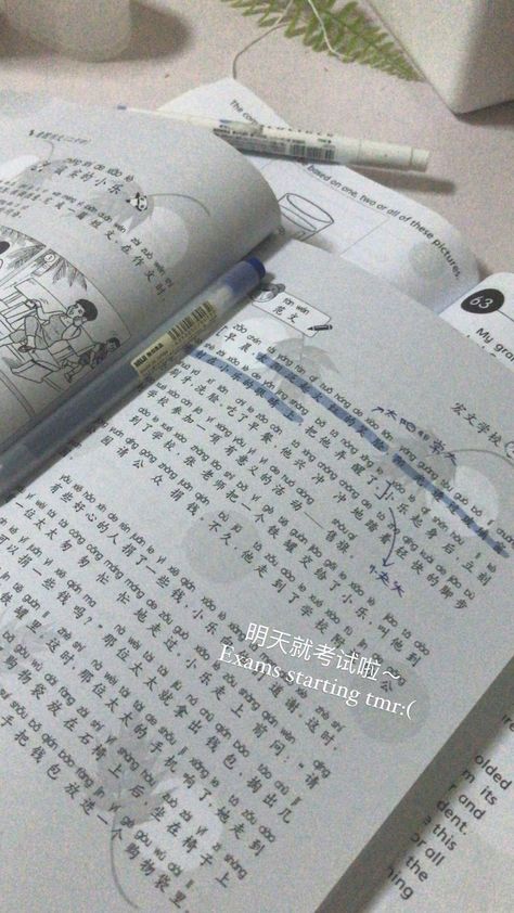 Chinese Handwriting, Study Core, Muji Pens, Chinese Vocabulary, Japanese China, Bahasa China, Scripting Ideas, Study Vibes, Mandarin Chinese Learning