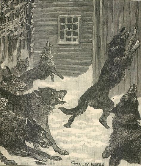 Lycanthropy Aesthetic, Wolves Hunting, Werewolf Aesthetic, The Vampire Chronicles, Hakone, Bad Dog, Wolf Dog, Wolf Art, Wolves