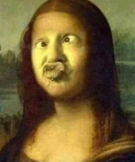 Funny Monday Memes, Mona Lisa Parody, Lisa Smile, Mona Lisa Smile, Monday Humor, 9gag Funny, The Mona Lisa, Duck Face, Funny Animal Quotes