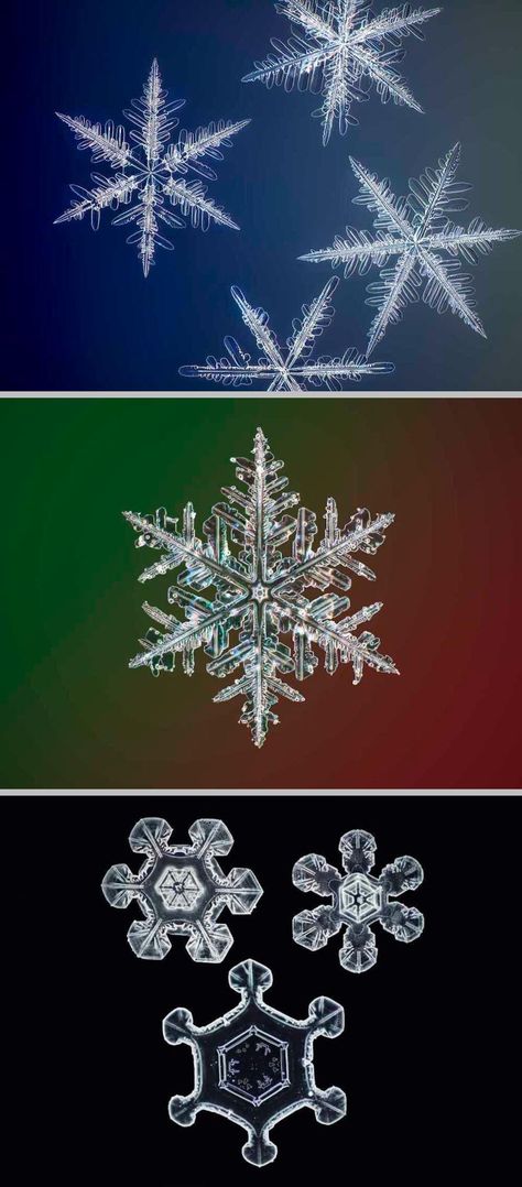 The Highest Resolution Photos Ever Taken of Snowflakes | Smithsonian ~ Photographer & scientist Nathan Myhrvold has developed a camera that captures snowflakes at a microscopic level never seen before. #photography #microphotography Snowflake Photography, Preschool Winter, Micro Photography, Snowflake Photos, Microscopic Images, Water Molecule, Winter Preschool, Things Under A Microscope, Ways Of Seeing