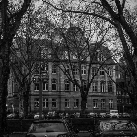 Old High School Aesthetic, Old School Building, High School Building, Fish In A Tree, Boarding School Aesthetic, Old High School, Building Aesthetic, Catcher In The Rye, College Aesthetic