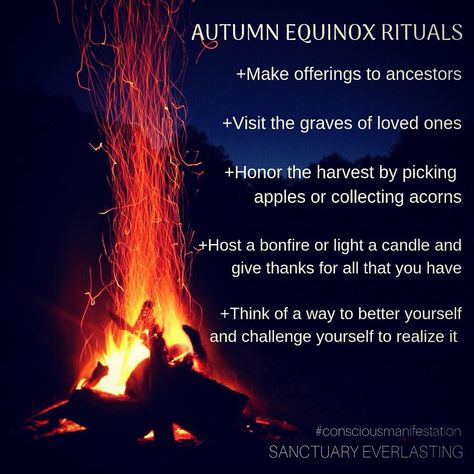 Learn about Autumn equinox rituals and how to celebrate the pagan rites of Mabon. Try a simple meditation to connect with this powerful, seasonal energy. Autumnal Equinox Celebration, Autumn Equinox Ritual, Equinox Ritual, Simple Meditation, Wiccan Sabbats, Solstice And Equinox, Pagan Festivals, Autumn Witch, Autumnal Equinox