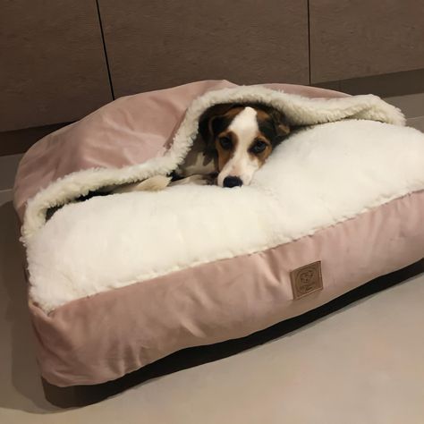 Cama Pet, Pet Furniture, Whippet, Border Collie, Pet Accessories, Bean Bag Chair, Bed Pillows, Throw Pillows, Pet