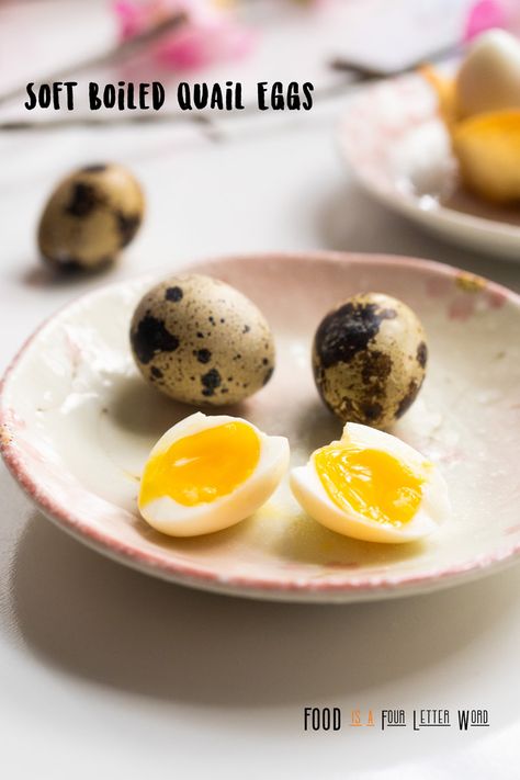 How to Make Soft Boiled Quail Eggs – FOOD is Four Letter Word Charbroiled Oysters Recipe, Mochi Donut Recipe, Boiled Quail Eggs, Charbroiled Oysters, Ube Mochi, Ramen Egg Recipe, Mochi Donuts Recipe, Mochi Donut, Vietnamese Dishes