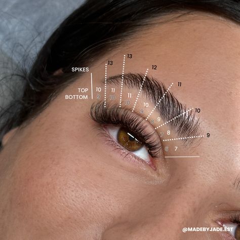 Lash mapping for a wispy cat eye Wispy Cat Eye Mapping, Open Eye Wispy Lash Extensions Mapping, Natural Whispy Lashes Extensions Map, Wispy Kitten Eye Lash Extensions, Wet Wispy Lash Extensions Map, Short Cat Eye Lash Map, Wispy Cat Eye Lash Map, Hybrid Wispy Eyelash Extensions Mapping, Kitten Eye Mapping