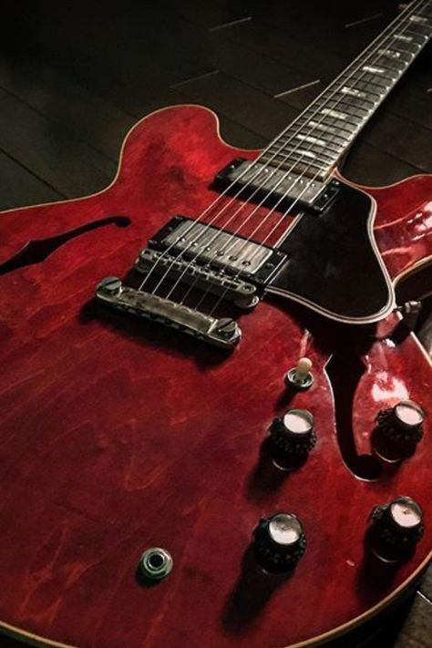 Gibson Es 335 Red, Gibson Es 335, Gibson Electric Guitar, Guitar Obsession, Guitar Pics, Gibson Guitars, Custom Guitars, Guitar Amp, Vintage Guitars