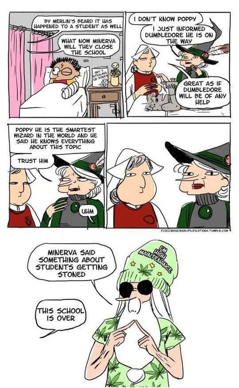 This is great XD Dumbledore Comics, It Comics, Scorpius And Rose, Glume Harry Potter, Harry Potter Memes Hilarious, Yer A Wizard Harry, Harry Potter Comics, Harry Potter Jokes, Harry Potter Obsession