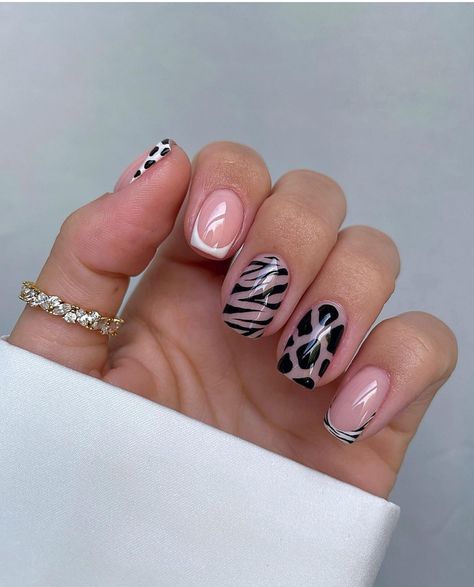 Zebra Nail Designs, Sns Nails Designs, Leopard Nail Designs, Cheetah Nail Designs, Chic Nail Designs, Zebra Nails, Cheetah Nails, Leopard Print Nails, Leopard Nails