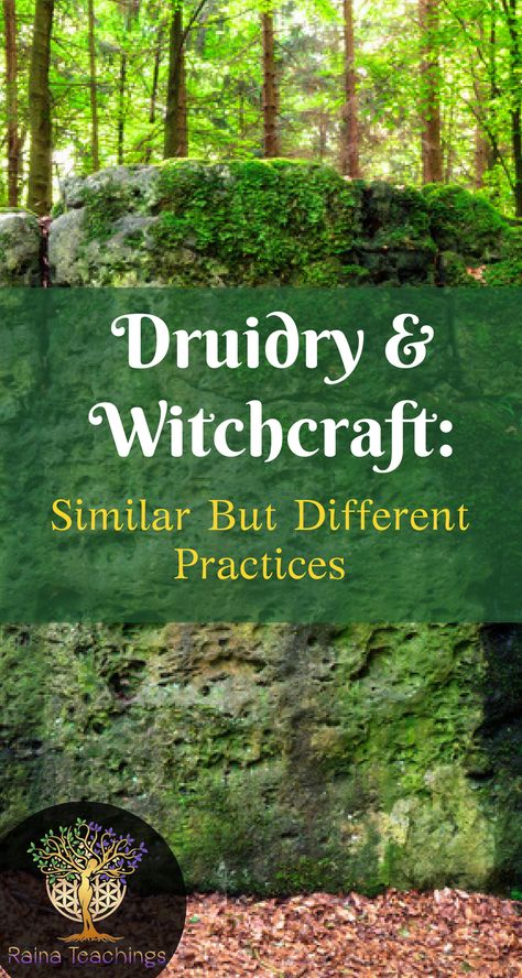 Are you a druid or a witch? Learn the differences in each practice | rainateachings #druidry #witchcraft #metaphysics #occult #celticdruids Druidism Spirituality, Witchy Tools, Celtic Paganism, Witch School, Celtic Druids, Pagan Spirituality, Green Witchcraft, Witchcraft For Beginners, Wicca Witchcraft