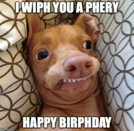 Tuna The Dog, Tuna Dog, Hey Baby Girl, Beautiful Meme, Funny Happy Birthday Meme, Happy Birthday Cousin, Happy Birthday Beautiful, Happy Birthday Meme, Funny Happy Birthday