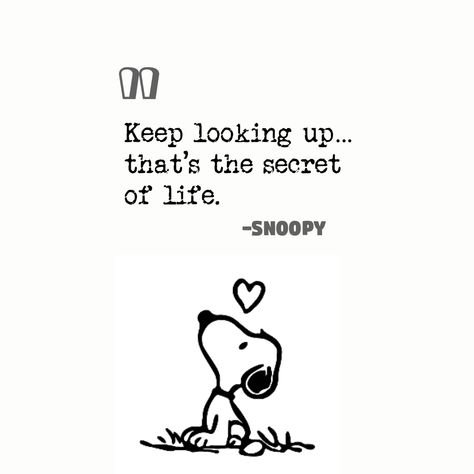 Keep looking up... That's the secret of life. #lookingup #secret #life #nolisays Keep Looking Up Thats The Secret Of Life, The Secret Of Life, Secret Of Life, Keep Looking Up, Hygiene Routine, Secret Life, Looking Up, Wisdom Quotes, Immune System