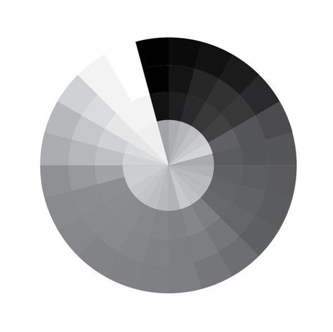 Bb Black White Grey Colour Palette, Gray Pallete Color, Achromatic Color Scheme, Gray Color Schemes, Color Palette Gray, Types Of Color Schemes, Black And White Palette, Gray Palette, Gray Color Palette