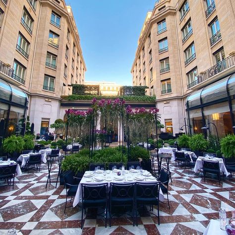 Four Seasons Paris, Luxury Hotels Paris, George V Paris, Terrace Restaurant, Paris Luxury, Michelin Star Restaurant, Neo Classic, Relax Spa, Champs Elysees