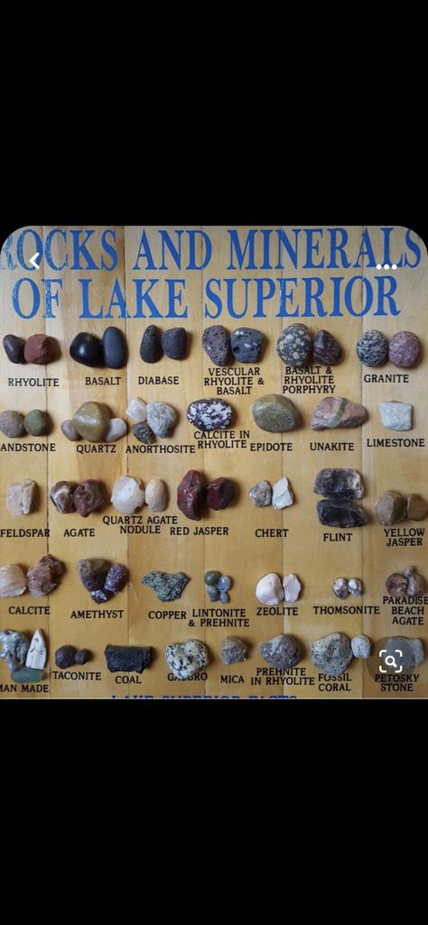 Lake Superior Rocks, Rock Collecting, Drift Wood, Coral Stone, Rock Collection, Lake Superior, Rough Gemstone, Red Jasper, Raw Stone