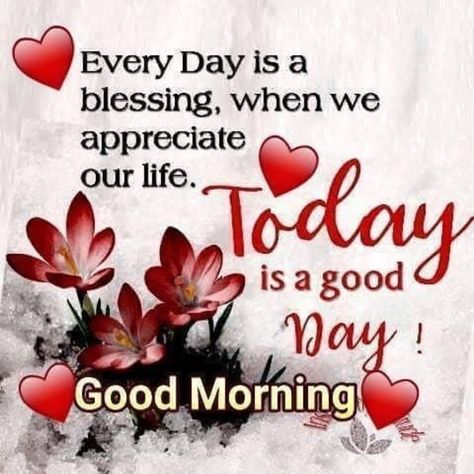 Weekly Greetings, God Scriptures, Funny Good Morning Messages, Morning Sayings, Funny Good Morning Images, Gud Morning, Week Quotes, Angel Blessings, Morning Memes