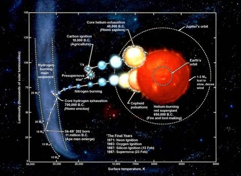 Hr Diagram, Supernova Explosion, Atomic Number, Neutron Star, Earth Orbit, Interstellar, 10 Things