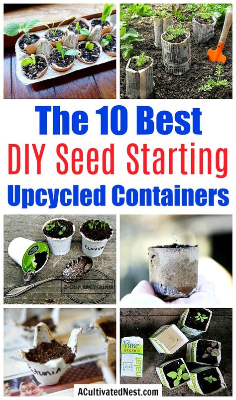 10 Creative Seed Starting Ideas- Start your seeds the frugal way with these 10 DIY upcycled seed starting containers! So many inexpensive everyday items can make great seed starters! | DIY seed starting container hacks, how to start seeds, frugal gardening, save money on gardening, gardening tips, upcycled seed starting containers, gardening hacks #gardening #gardeningtips  #seedStarting #upcycle #ACultivatedNest Seed Starters Diy, Seed Starting Containers, Garden Diy Decoration Ideas, Indoor Gardening Supplies, Seed Starters, Frugal Gardening, Container Garden Design, Starting Seeds Indoors, Gardening Hacks