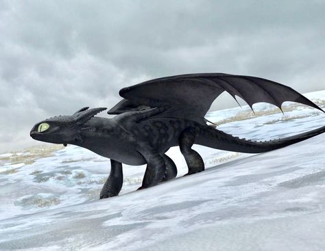 Httyd Toothless Reference, Toothless Side Profile, How To Draw Night Fury, Httyd Toothless, Toothless Night Fury, Night Fury Dragon, Httyd Art, Toothless Dragon, Httyd Dragons