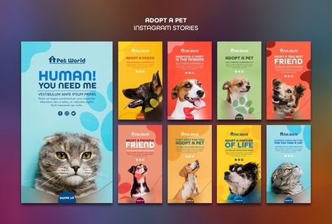 Free PSD | Instagram posts pack for pet adoption with animals Dog Instagram Story Template, Dog Social Media Post, Pet Poster Design, Pet Websites, Pet Advertising, Pet Instagram, Pet Food Packaging, Pet Branding, Animal Adoption