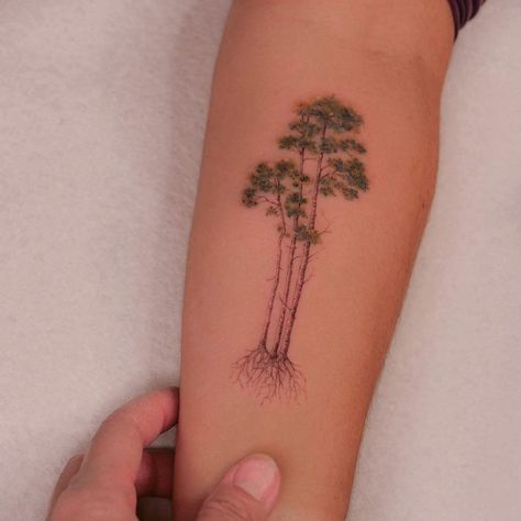 Tattoodo on Instagram: “A tiny Aspen tree by @evakrbdk at @atelier.eva #TATTOODO” Aspen Tattoo, Aspen Tree Tattoo, Aspen Trees Tattoo, Birch Tree Tattoos, Tree Roots Tattoo, Trees Tattoo, Tree Tattoo Back, Roots Tattoo, Quaking Aspen