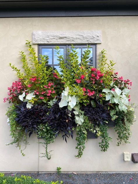 Fall window boxes