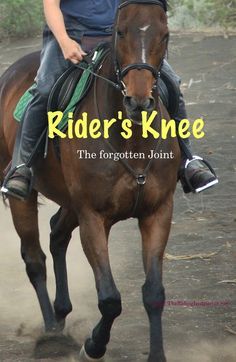 How should the rider have his knee? Gripping? Loose? In? Out? This article explains the knee position and function Horse Beginner, Rider Biomechanics, Riding Instructor, Riding Exercises, Horse Training Exercises, Horseback Riding Tips, Horseback Riding Lessons, Horse Lessons, Trick Riding