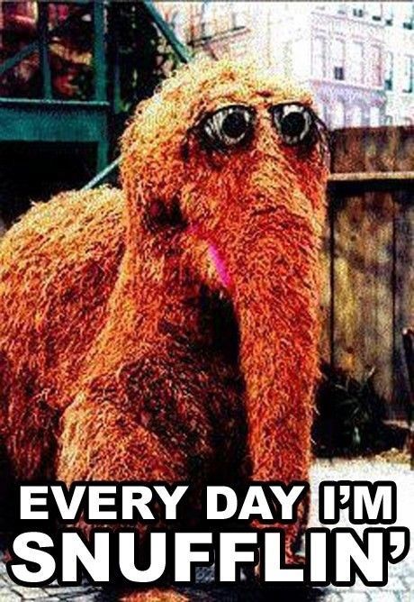 Snuffleupagus! Every Day