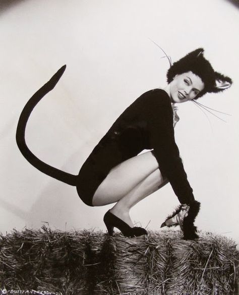 Bobbins and Bombshells: Mid-Week Inspiration: Halloween Bombshell Dusty Anderson Halloween Pin Up, Black Cat Costumes, Up Halloween Costumes, Vintage Halloween Photos, Catwoman Cosplay, Vintage Halloween Costume, Halloween Retro, Cat Woman, Cat Costume